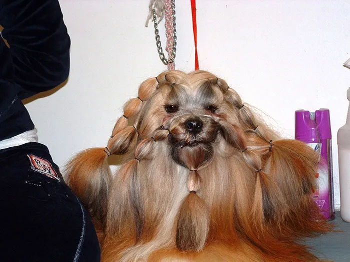 Just After The Hairdresser