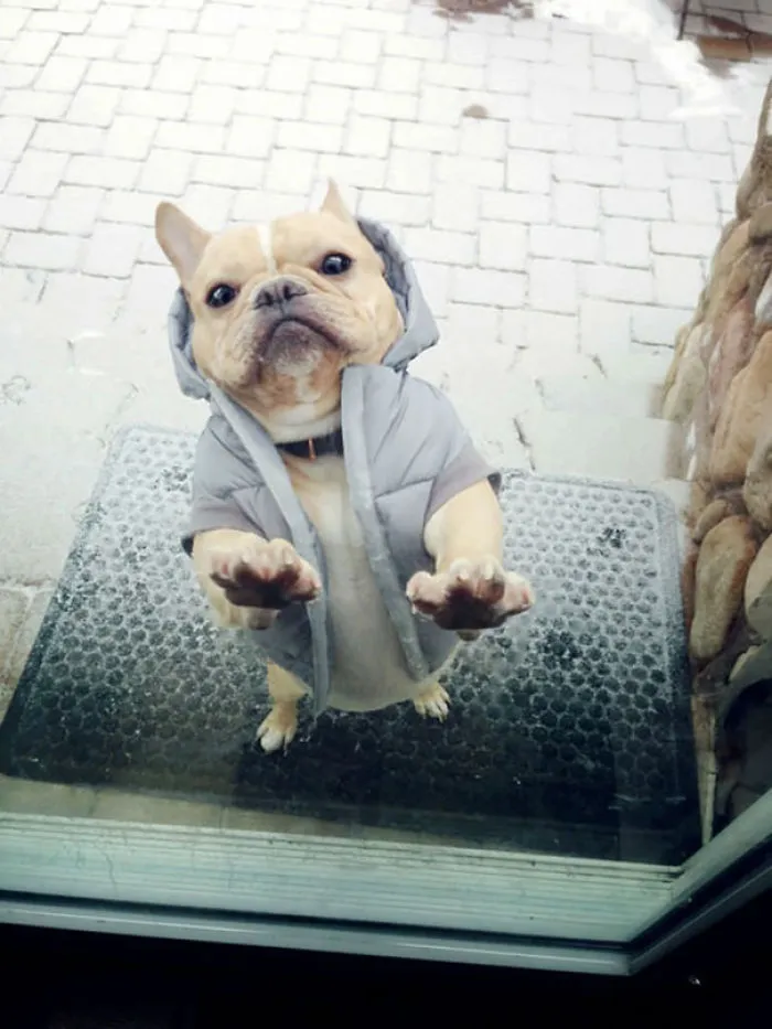 Fred Hates The Snow And Really Wants To Get Back Inside