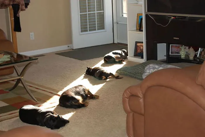 Warm Spot