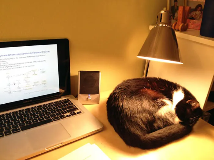 Warm Spot