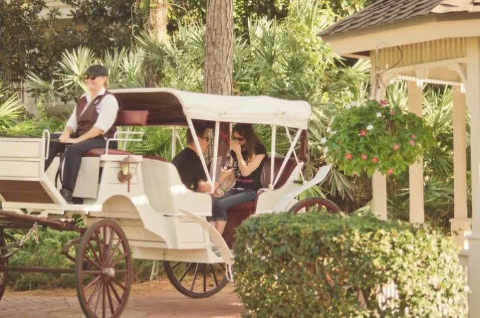 Princess Carriage Proposal