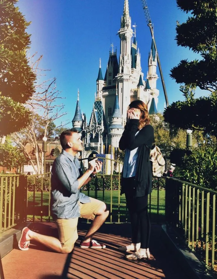 Disney Proposal