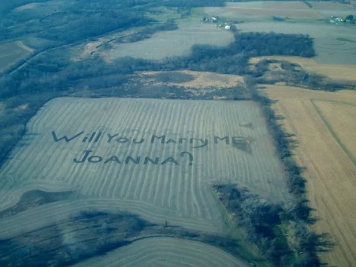 Proposal In The Fields