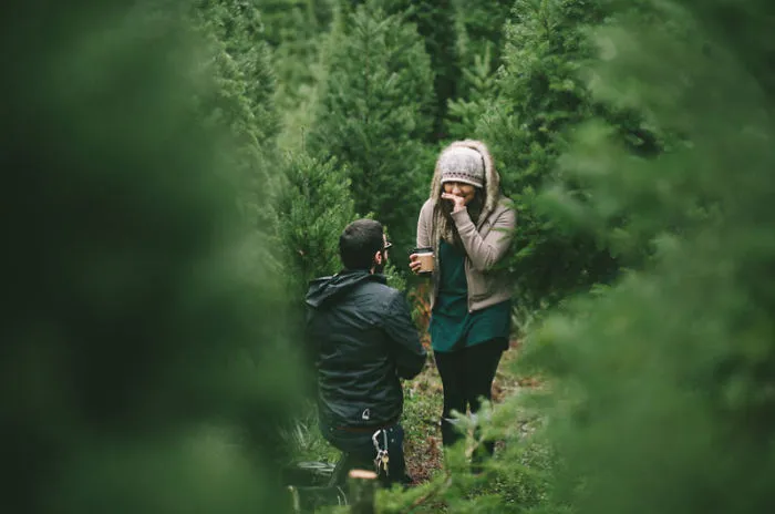 Proposal At The Christmas Tree Farm
