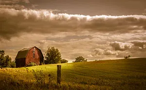 Cheap Camera, Amazing Art: Single Mom Uses Old Canon PowerShot To Take Stunning Photos