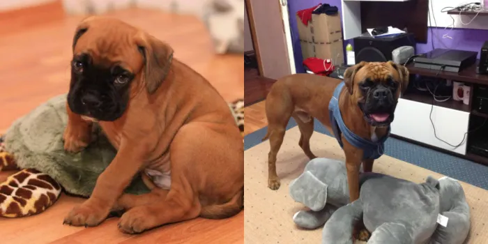 One Year Apart