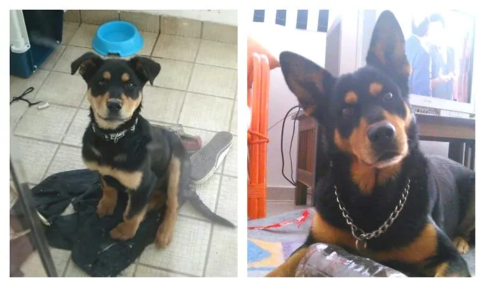 Still Curious- 7 Years Apart