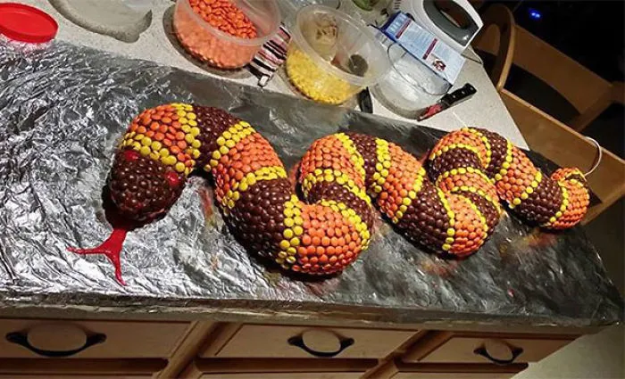 Snake Cake