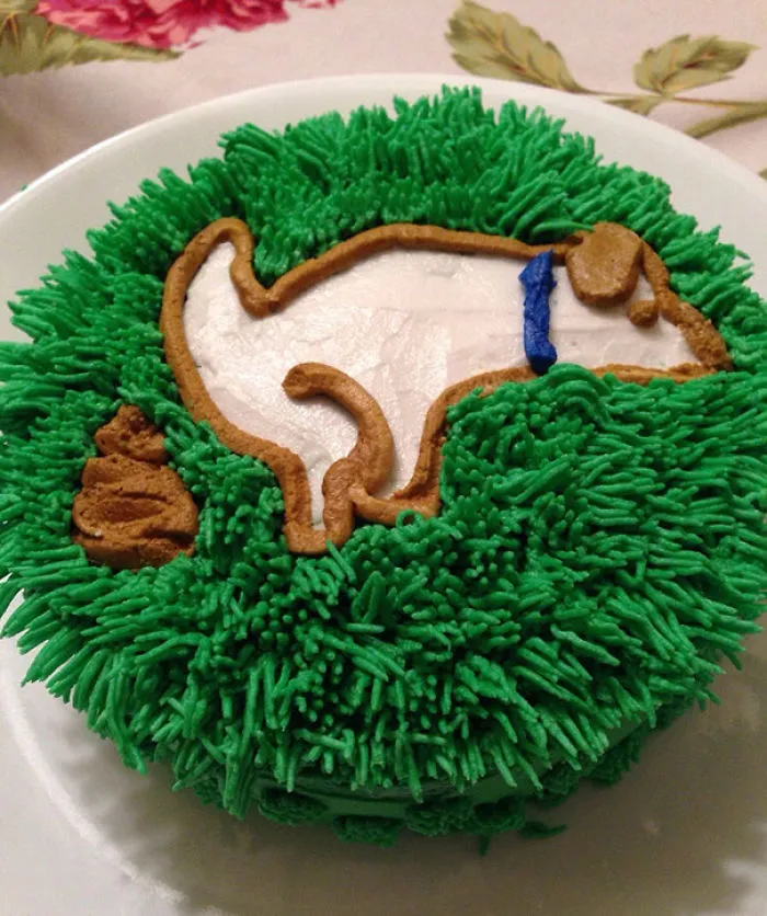 Surprising Birthday Cake