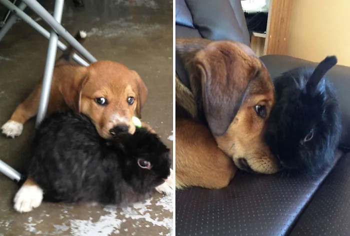 Still Best Friends