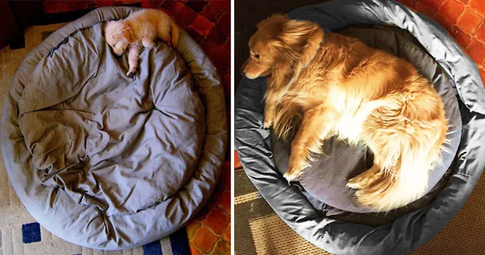 One Year Apart