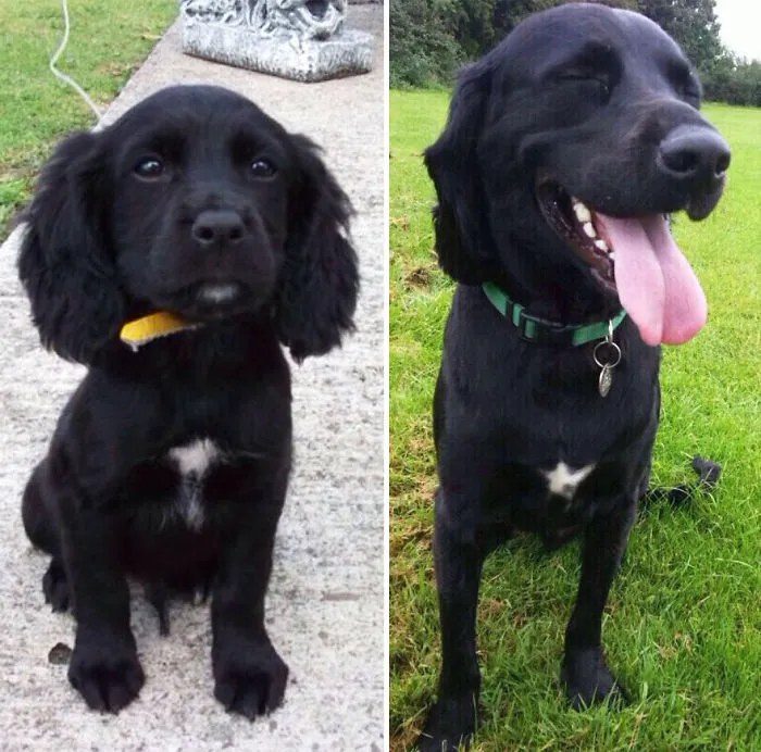 Three Years Apart