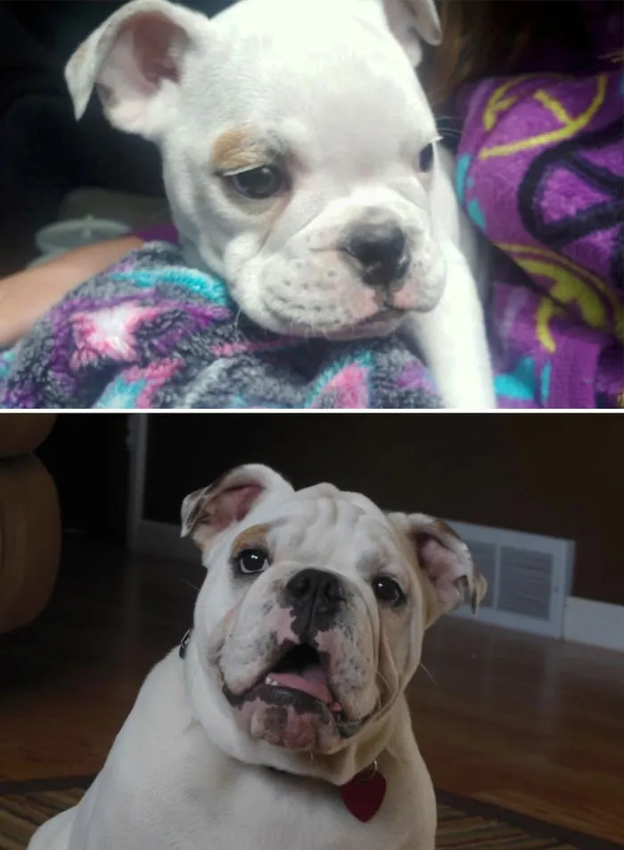 Steve Has Grown Up To Be Such A Handsome Young Man