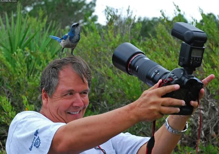 117 Crazy Photographers Who Will Do ANYTHING For The Perfect Shot