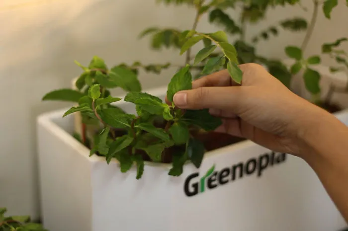 These Smart Pots Care For Your Plants When You're Not Around!