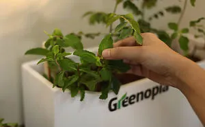 These Smart Pots Care For Your Plants When You're Not Around!