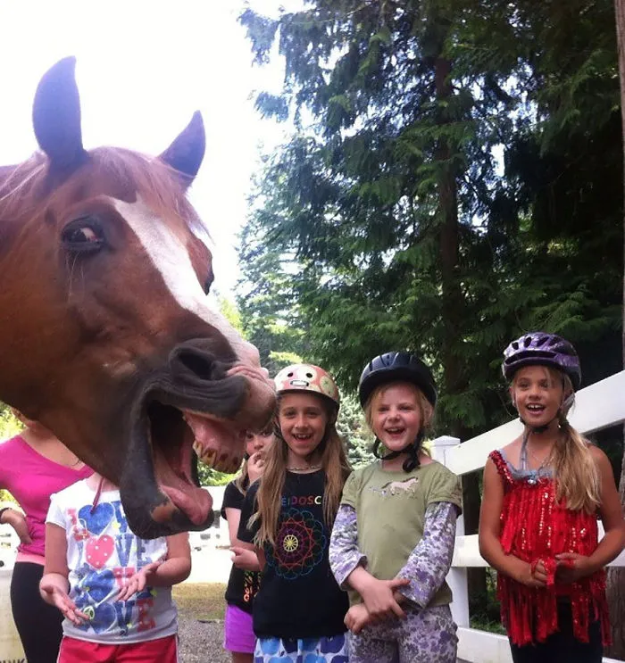 90 Of The Funniest Animal Photobombs Ever