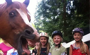 90 Of The Funniest Animal Photobombs Ever