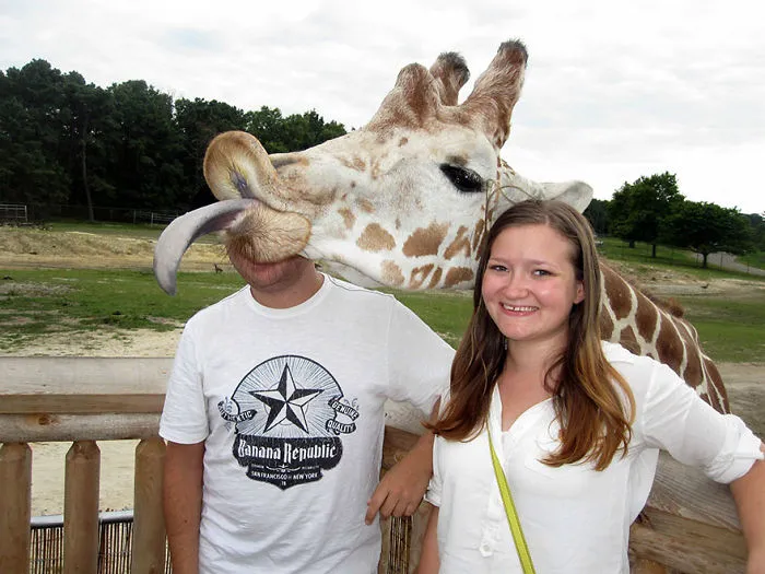 90 Of The Funniest Animal Photobombs Ever