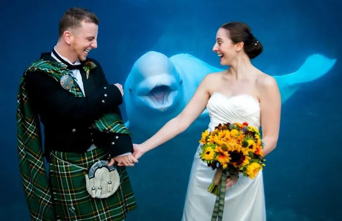 90 Of The Funniest Animal Photobombs Ever