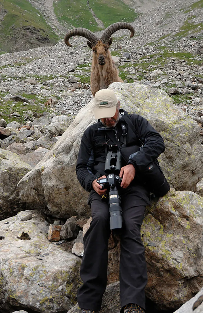 90 Of The Funniest Animal Photobombs Ever