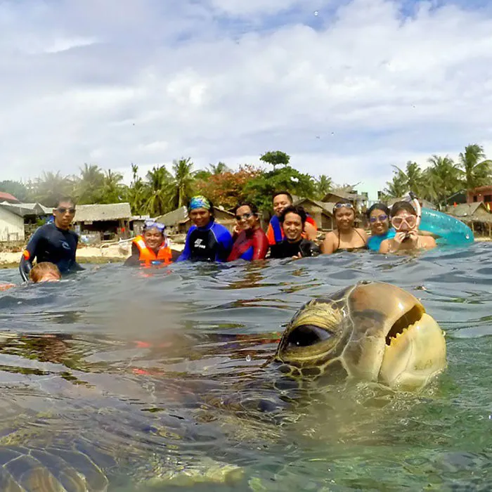 90 Of The Funniest Animal Photobombs Ever