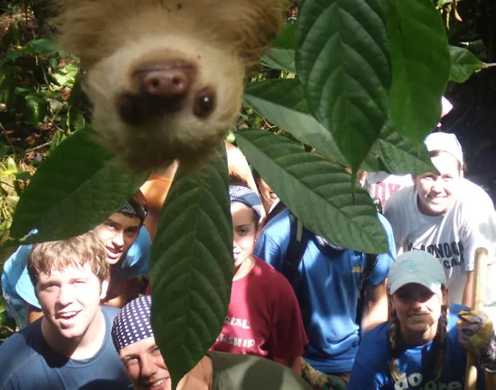 90 Of The Funniest Animal Photobombs Ever