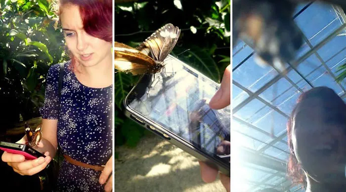 90 Of The Funniest Animal Photobombs Ever