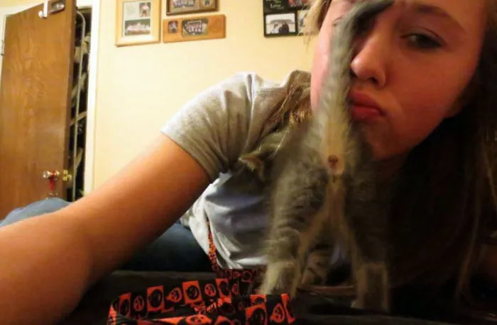 90 Of The Funniest Animal Photobombs Ever