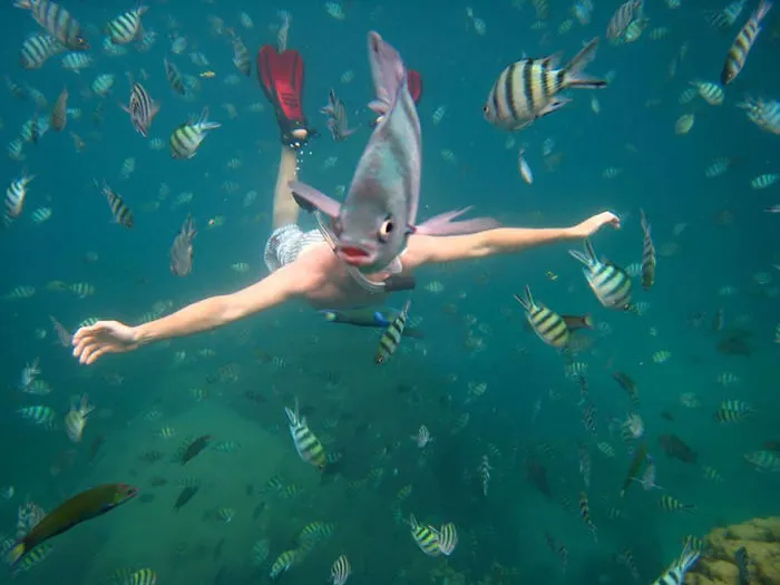 90 Of The Funniest Animal Photobombs Ever