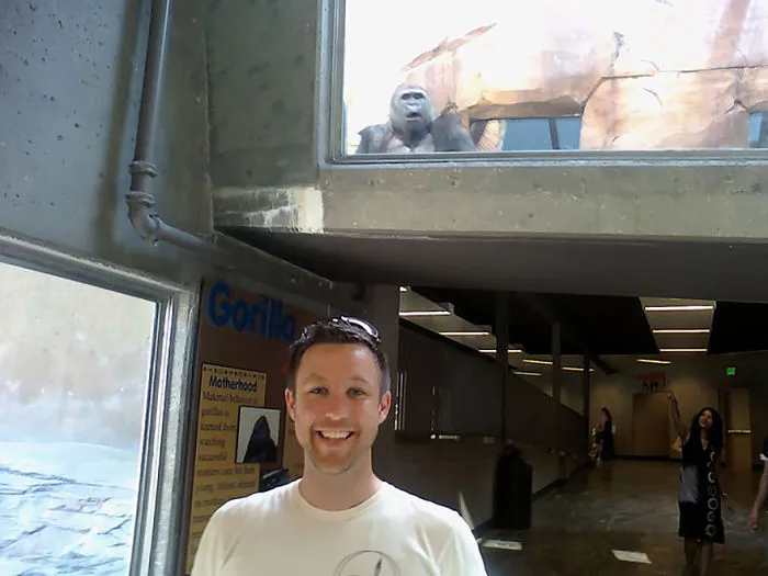 90 Of The Funniest Animal Photobombs Ever