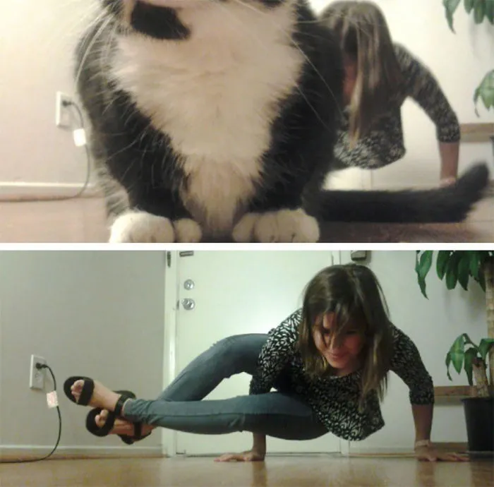 90 Of The Funniest Animal Photobombs Ever