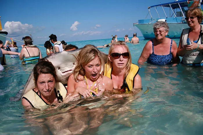 90 Of The Funniest Animal Photobombs Ever