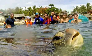 90 Of The Funniest Animal Photobombs Ever