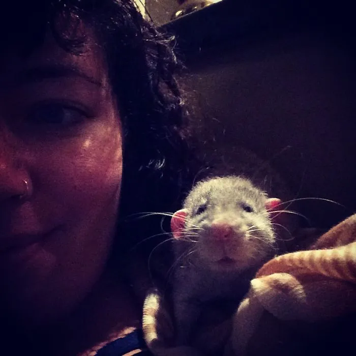 202 Adorable Rat Pics Proving That They Can Be The Cutest Pets Ever
