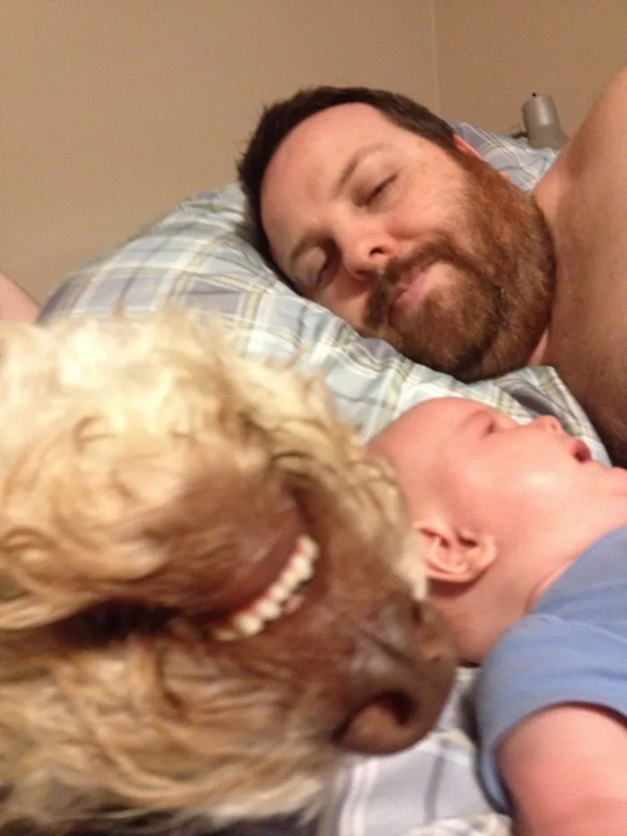 90 Of The Funniest Animal Photobombs Ever