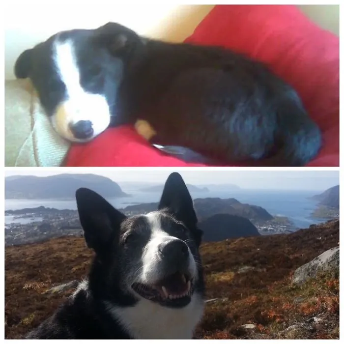 Then And Now