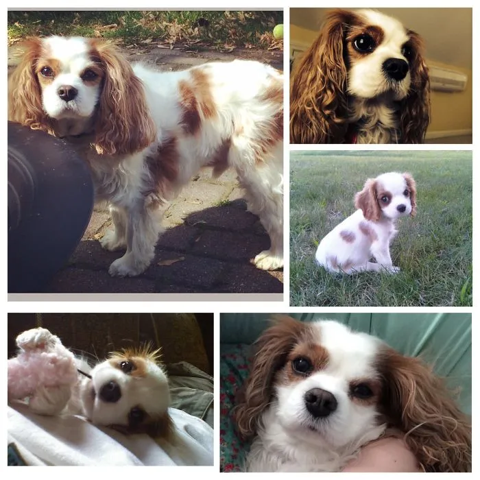 Murphy