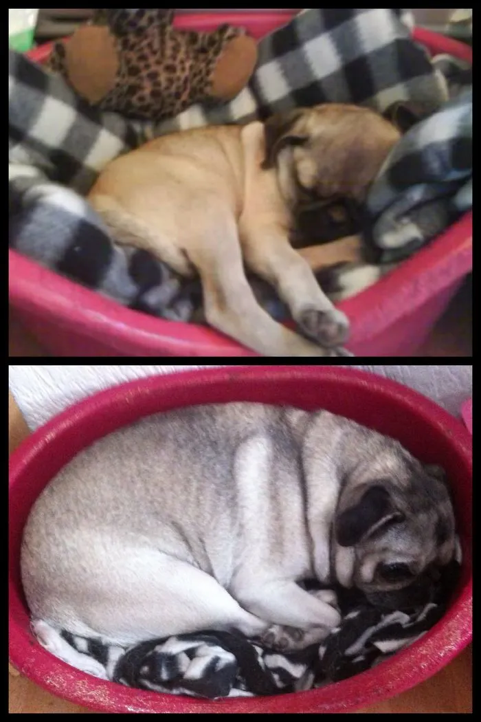 7 Years Later..