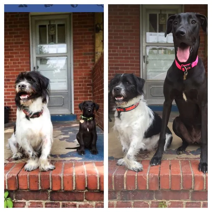 Rogue And Tuesday 11 Months Between