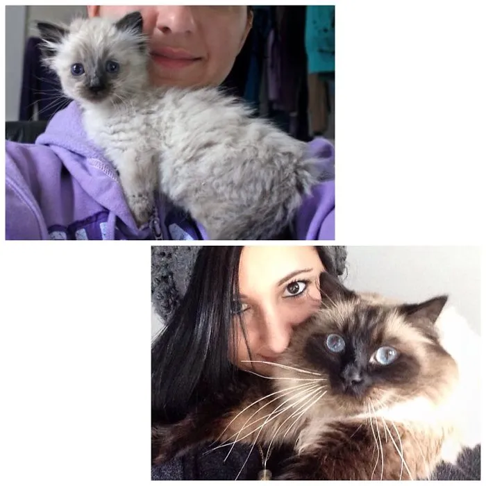 Mushu 7 Weeks And 5 Yrs Old