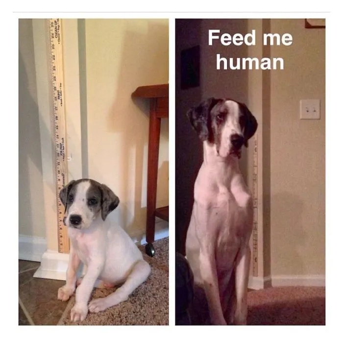 Cooper 2.5-9.5 Months