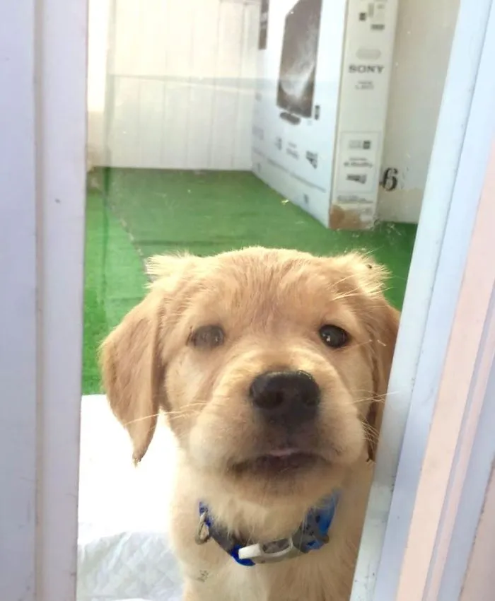 They Grow Too Fast