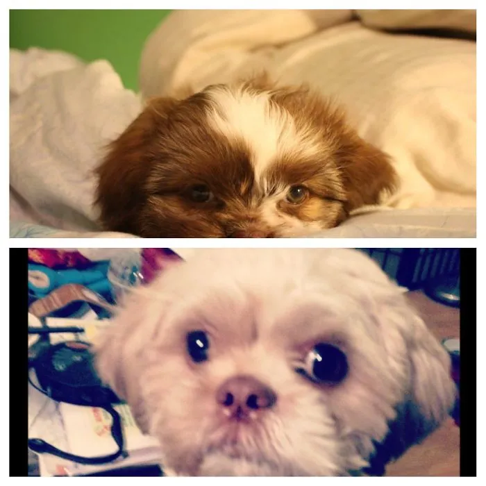 3 Years Later