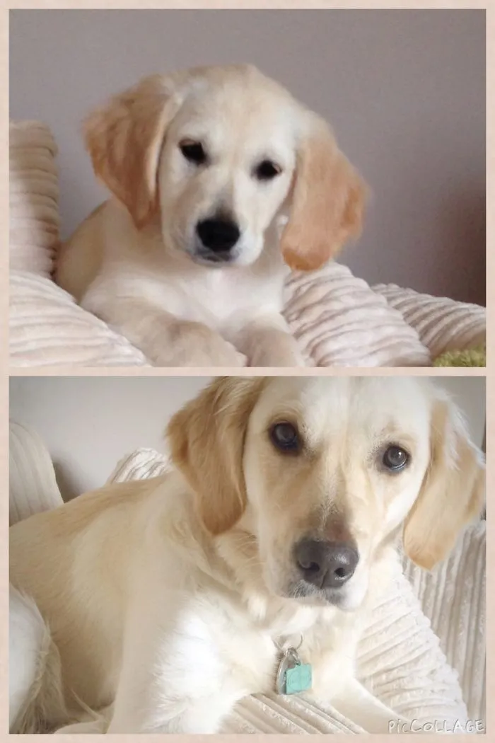Taken At 12 Weeks And 1 Year