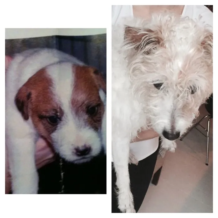 Solo, 4 Weeks And 11 Years