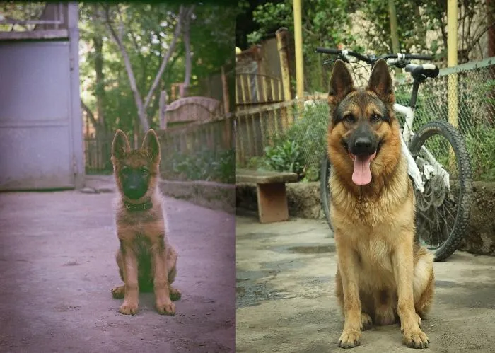 After 1 Year