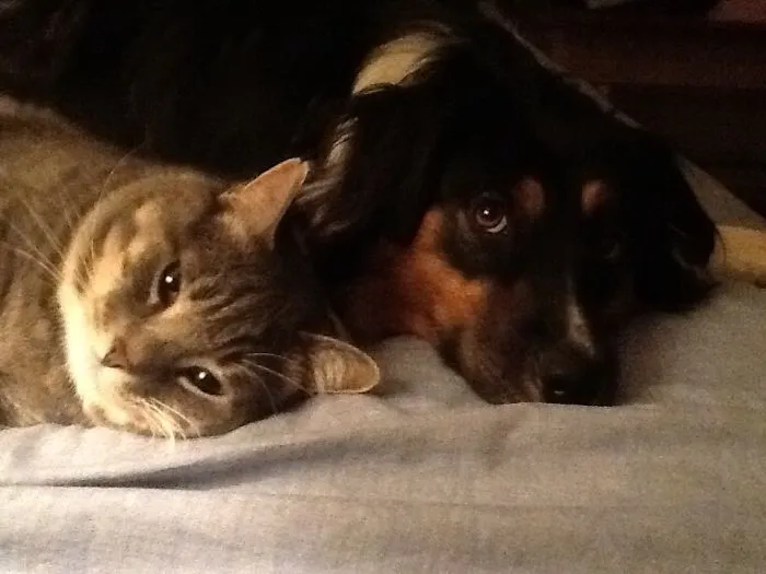 May And Beaufort Still Like To Cuddle