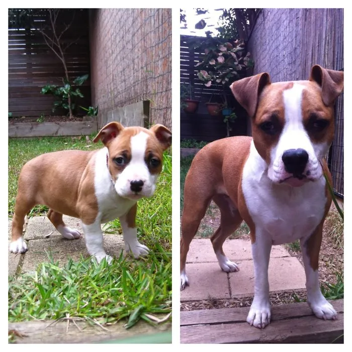 1 Year Apart.