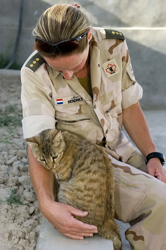 Capt. Hendriks 2006